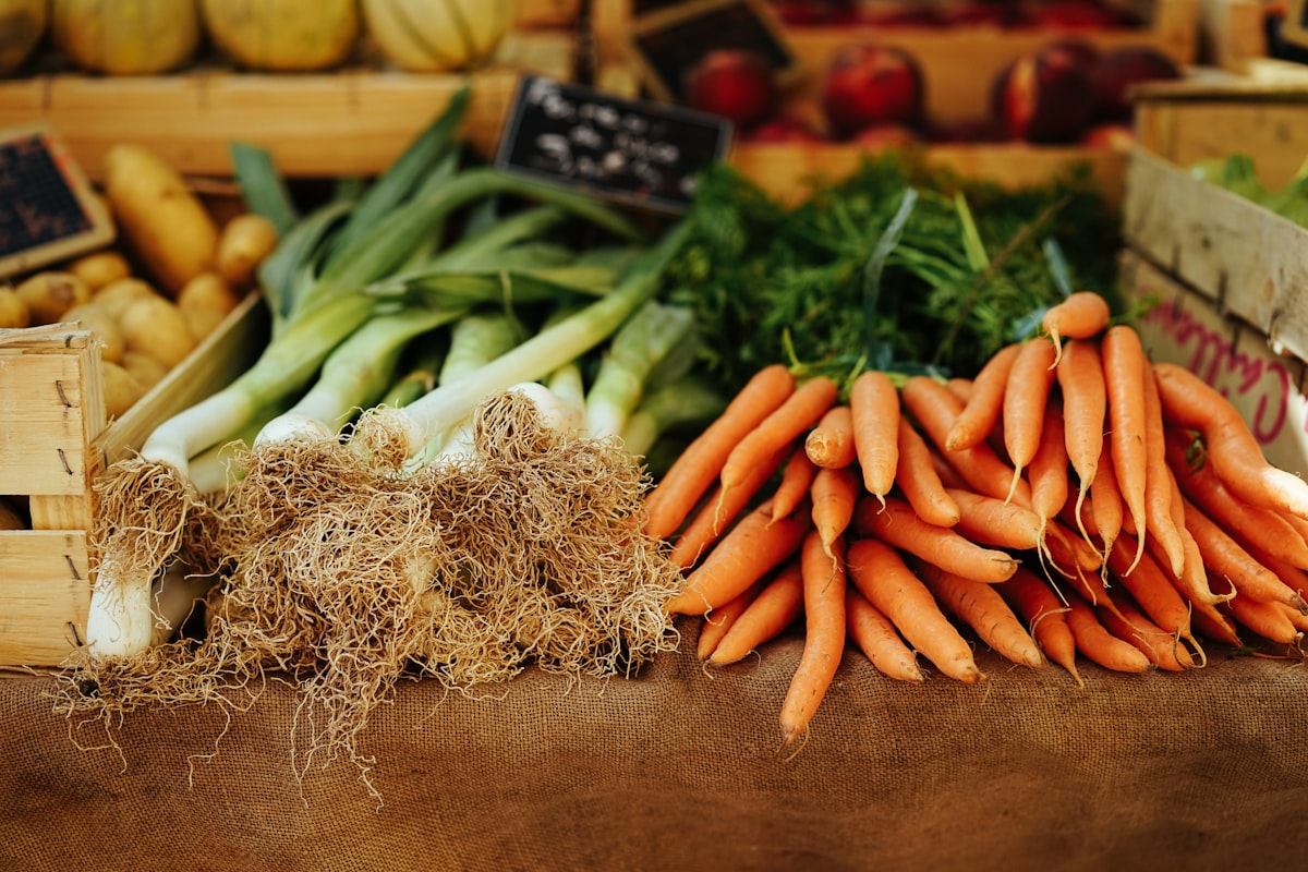 Fermentation and preservation techniques